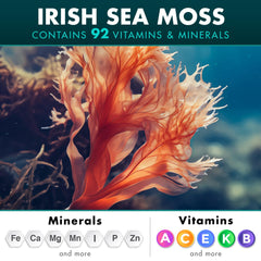 Secret Element ashwagandha ginger capsules close-up implying daily balance.