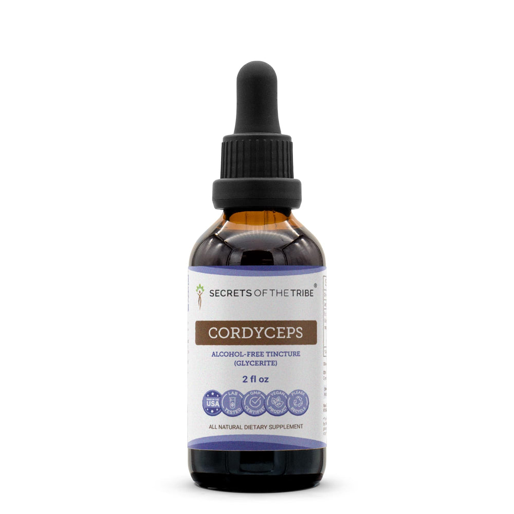 Secrets of the Tribe Cordyceps tincture bottle for daily vitality and easy dosing.