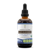 Secrets of the Tribe Black Elderberry Tincture bottle shows organic ingredients for daily use.