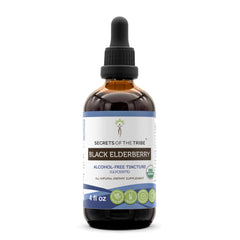 Secrets of the Tribe Black Elderberry Tincture bottle shows organic ingredients for daily use.
