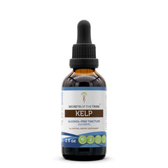 Secrets of the Tribe kelp tincture bottle for convenient daily use and alcohol-free option
