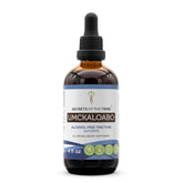 Secrets of the Tribe Umckaloabo tincture bottle—alcohol-free extract for easy absorption.