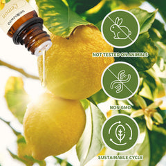 Sedbuwza diffuser setup with citrus oils for aroma enhancement