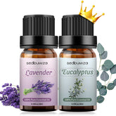 Sedbuwza lavender-eucalyptus set bottles in amber glass preserve aroma for diffusers.