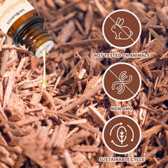 Sedbuwza pure vetiver oil with earthy, grounding scent