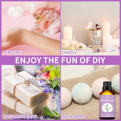 Sedbuwza rosemary blends with mint and citrus for custom scents