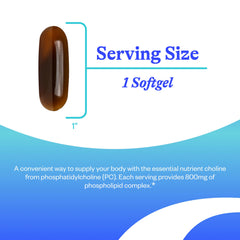 Seeking Health Optimal PC label shows sunflower lecithin and 800 mcg choline per softgel