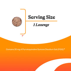 Seeking Health PQQ lozenge tablet closeup: demonstrates convenient lozenge form for daily use