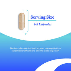 Seeking Health Stress Nutrients capsules close-up for convenient daily wellness