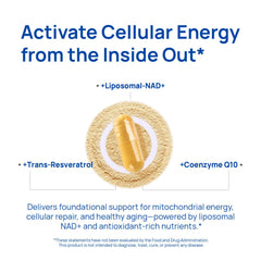 Selerb NADGENIE capsules closeup highlighting NO support