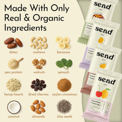 Send Bars Greens protein bar close-up suggests digestive support and daily energy.
