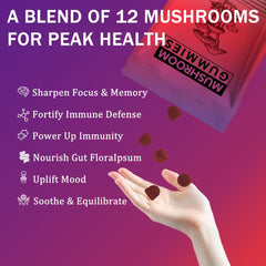 Seodon Lions Mane and Reishi gummies indicate cognitive clarity and focus potential.