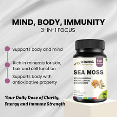 SETNUTRA Ashwagandha capsules showing calming energy support in a vegan formula