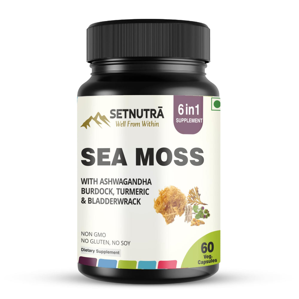 SETNUTRA Well From Within Sea Moss six-in-one bottle highlighting a multi-ingredient wellness blend