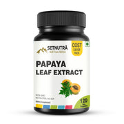 SETNUTRA Well From Within papaya leaf capsules bottle close-up for daily wellness.