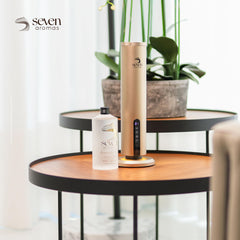 Opening notes of citrus and ginger for an uplifting fragrance experience.