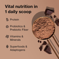 Shakeology ingredient close-up featuring superfoods and probiotics for gut health