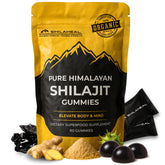 SHILAHEAL Shilajit gummies deliver energy support for daily vitality