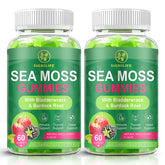 SIGNILIFE Organic Sea Moss Gummies bottle front view promoting easy daily wellness.