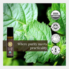 Silk Road Organic Patchouli, aplicador-rodillo, mezcla natural con aceite de coco para aromaterapia suave.