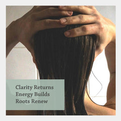 Silk Road Organic rosemary leaves highlight natural source for renewal and vitality.