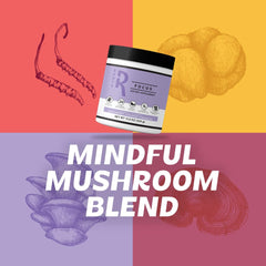 Silver Star Roots Focus capsules show mushroom blend for daily cognitive support