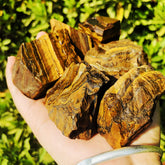 Simurg Tiger Eyes rough 1lb pack for meditation and Reiki rituals