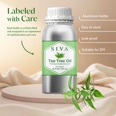 Scalp massage with SIVA Tea Tree Oil using a carrier oil