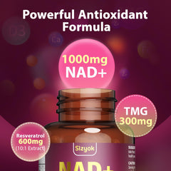 Sizyok NAD ingredients panel with antioxidant-rich compounds