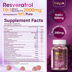 Sizyok NAD Resveratrol Gummies serving-dish suggests convenient energy and focus use