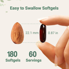 Sjjaw saw palmetto extract 4:1 illustration on label.