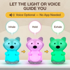 SlowRise Guided Meditation Light with soothing cues to support mindful practice.