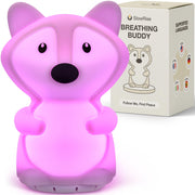 SlowRise Speaking Breathing Lamp with guided prompts for daily calm and focus.