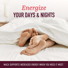 SMNutrition maca roots from Peru harvested for traditional wellness.
