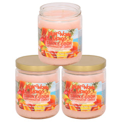 Smoke Odor Exterminator Maui Wowie Mango jar candle neutralizes smoke odors.