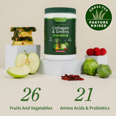 Snap Supplements 26 fruits and vegetables blend powder for daily nourishment.
