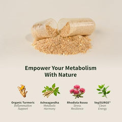 Rhodiola Rosea visual with earthy tones beside capsules for balance during busy days.