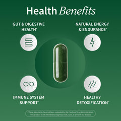 Snap Supplements green blend on spoon for easy daily use.