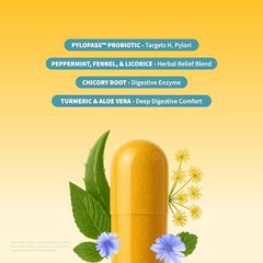 Snap Supplements SNAP Gut Health capsules for bloating relief and balanced digestion.