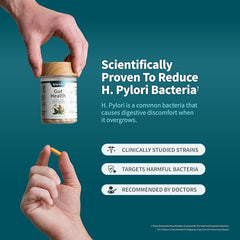 Snap Supplements gut health ingredients in a glass bowl highlighting natural botanicals.