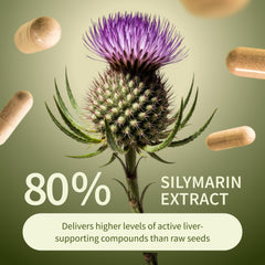 Snap Supplements Liver Health ingredient scene featuring milk thistle and turmeric