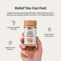 Snap Supplements MSM blend image signals comfort and smoother movement.