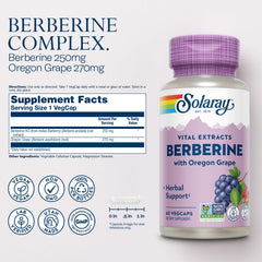 SOLARAY Berberine capsules close-up showing vegan, non-GMO formula.