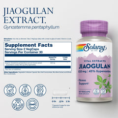 SOLARAY Jiaogulan vegan capsules closeup for daily wellness