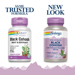 SOLARAY vegan capsules close-up highlighting plant-based wellness.