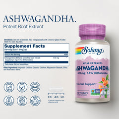 SOLARAY Ashwagandha 470mg capsules ready for vegan, non-GMO support on busy days.