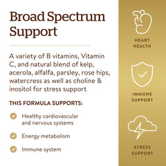 Solgar B-Complex Stress Formula packaging box displayed for convenient daily supplementation