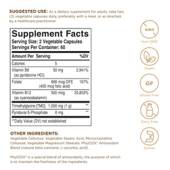 Solgar Homocysteine Modulators 120 VCaps capsules ready for daily intake