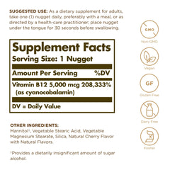 Solgar Megasorb B12 5000 mcg nuggets close-up, portable daily dose