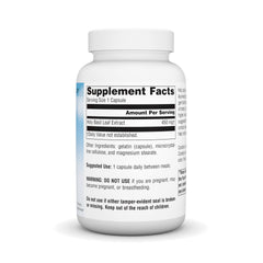 Source Naturals Holy Basil Extract capsules close-up showing 450 mg dose.